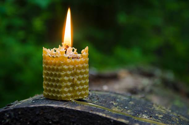 beeswax candle in nature