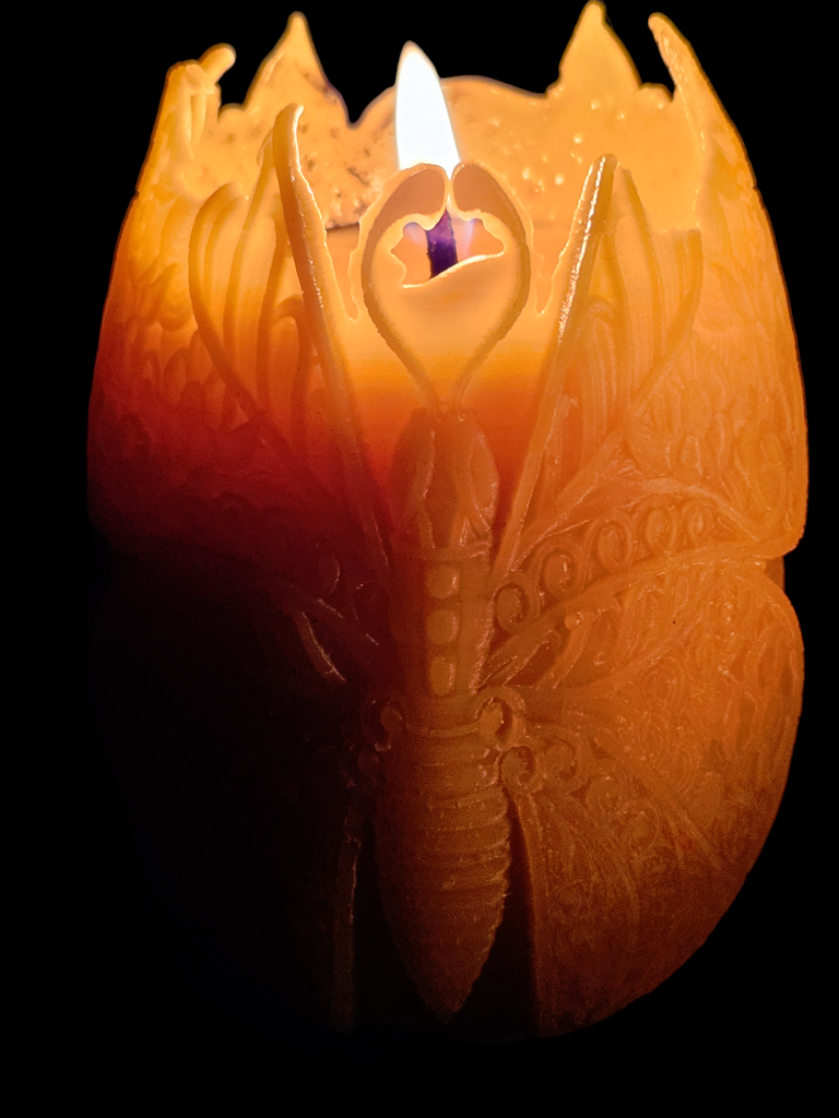 Butterfly Egg Candle