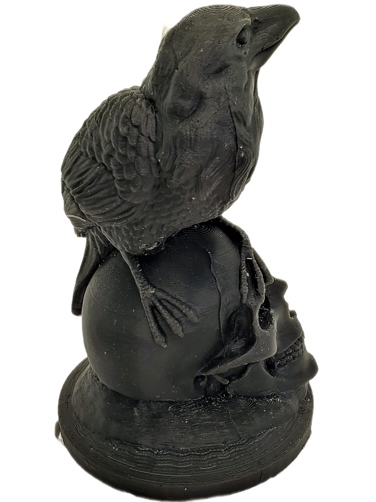 Raven on Skull Candle