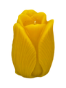 Tulip Candle