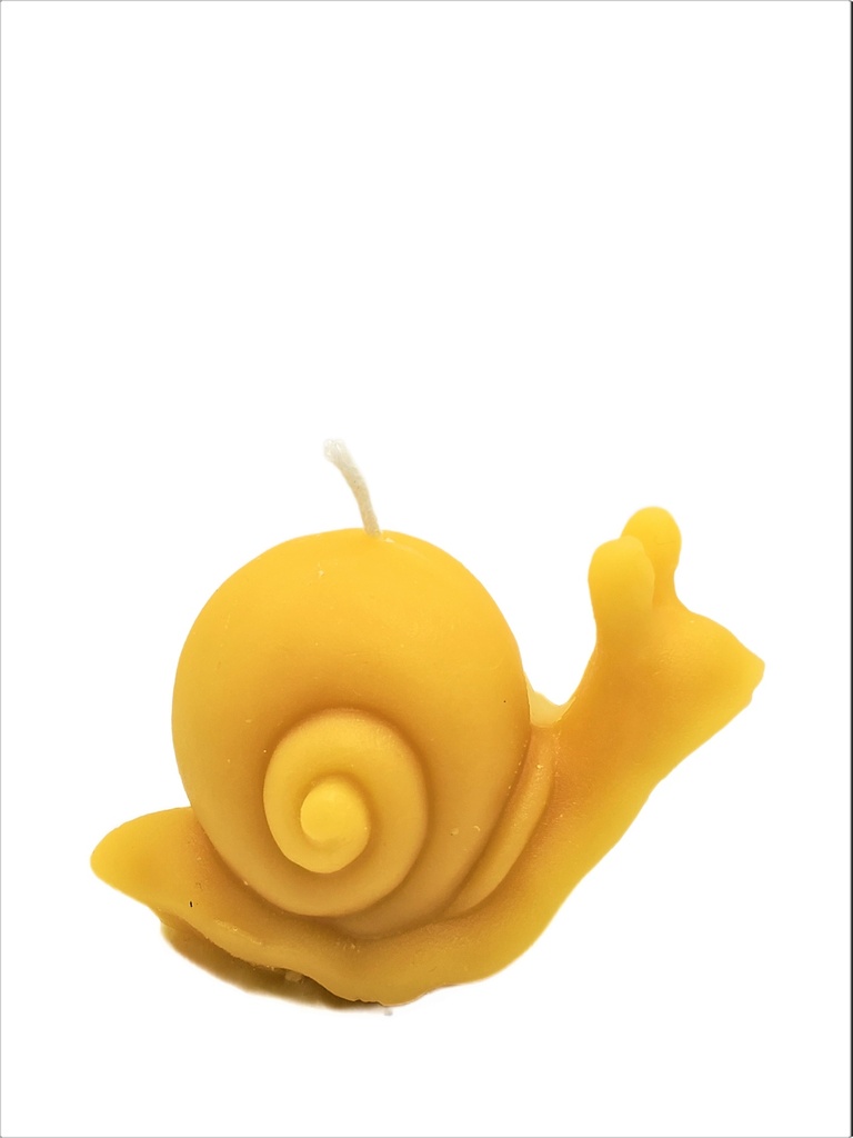 Snail Candle