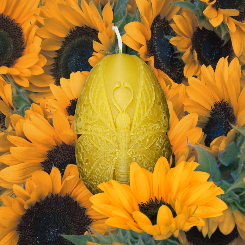 Butterfly Egg Candle