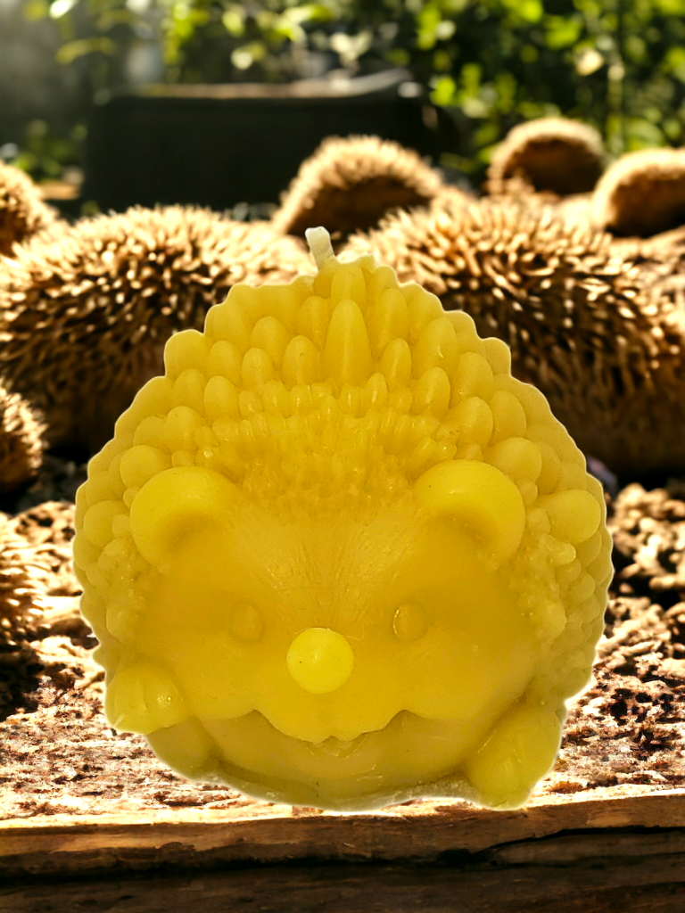 Hedgehog Candle