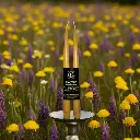 Paire de chandelles effilées de 12 po