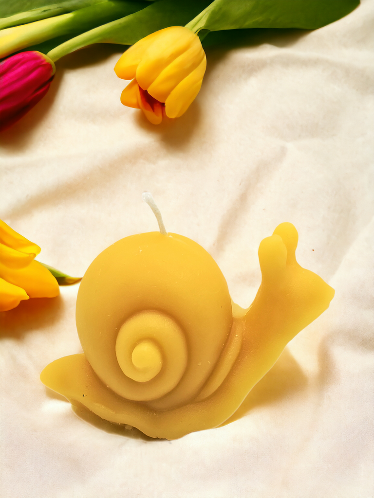 Snail Candle