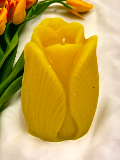 [CAND-TUL-SM] Bougie Tulipe