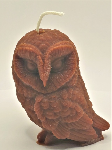 [CAND-OWL-BLRG] Large Owl